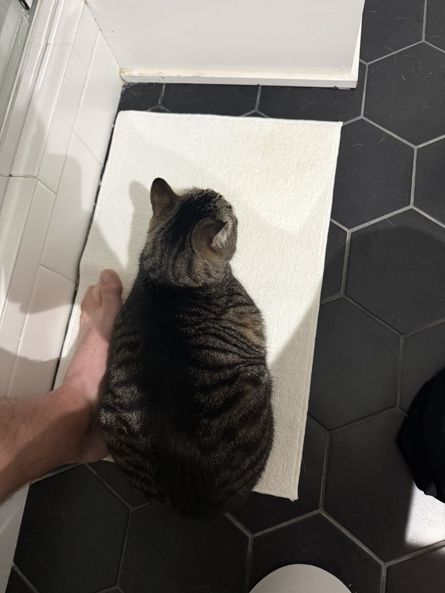 Sabation “Sea-bass” Walker tweet media