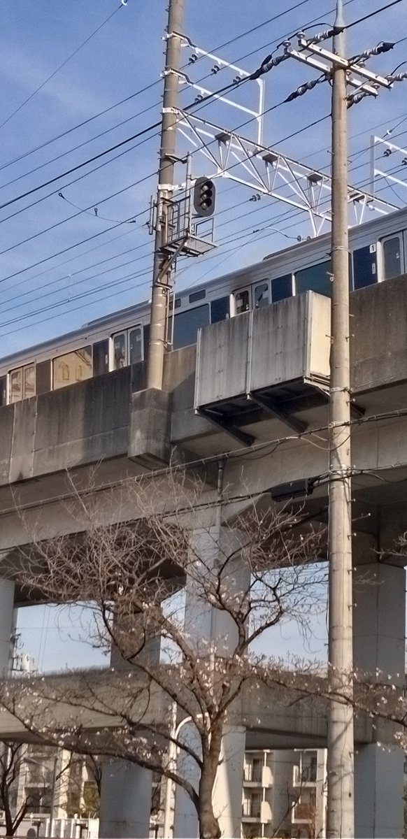 ジルズ　大東市 tweet media