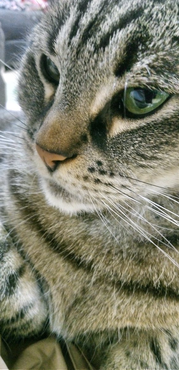 ジルズ　大東市 tweet media