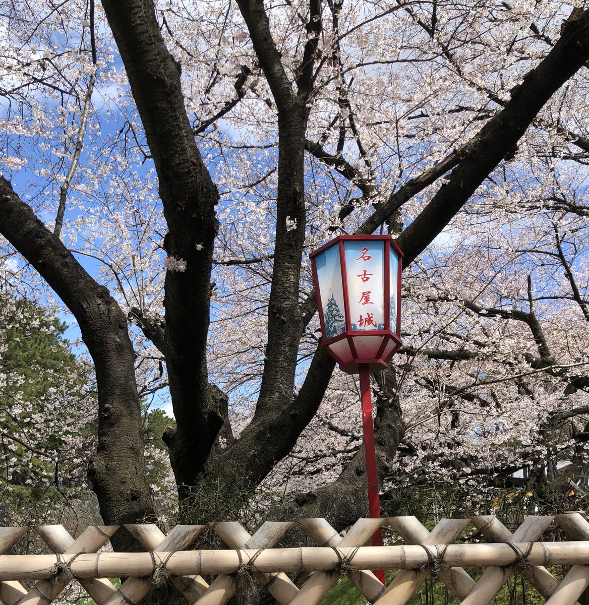 前田まつ*PSJあいち戦国姫隊 tweet media