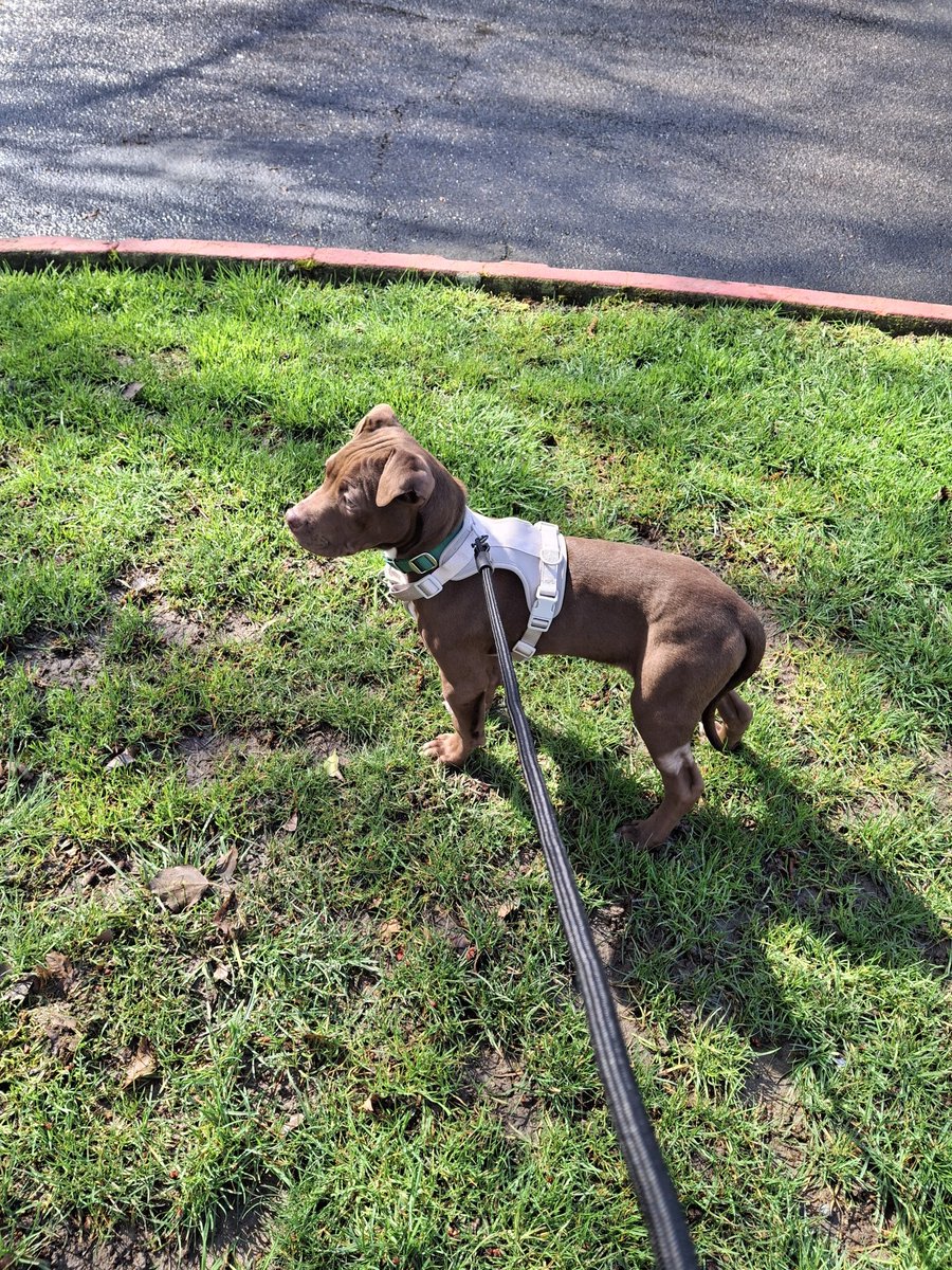 ☣️ Flack The Ripper ☣️ tweet media