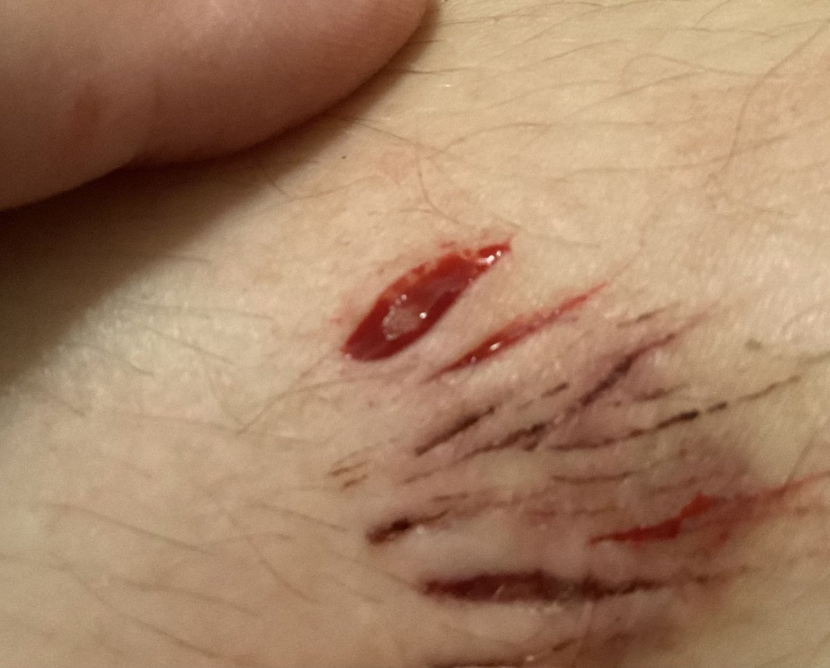 four ,,shedtwt tweet media