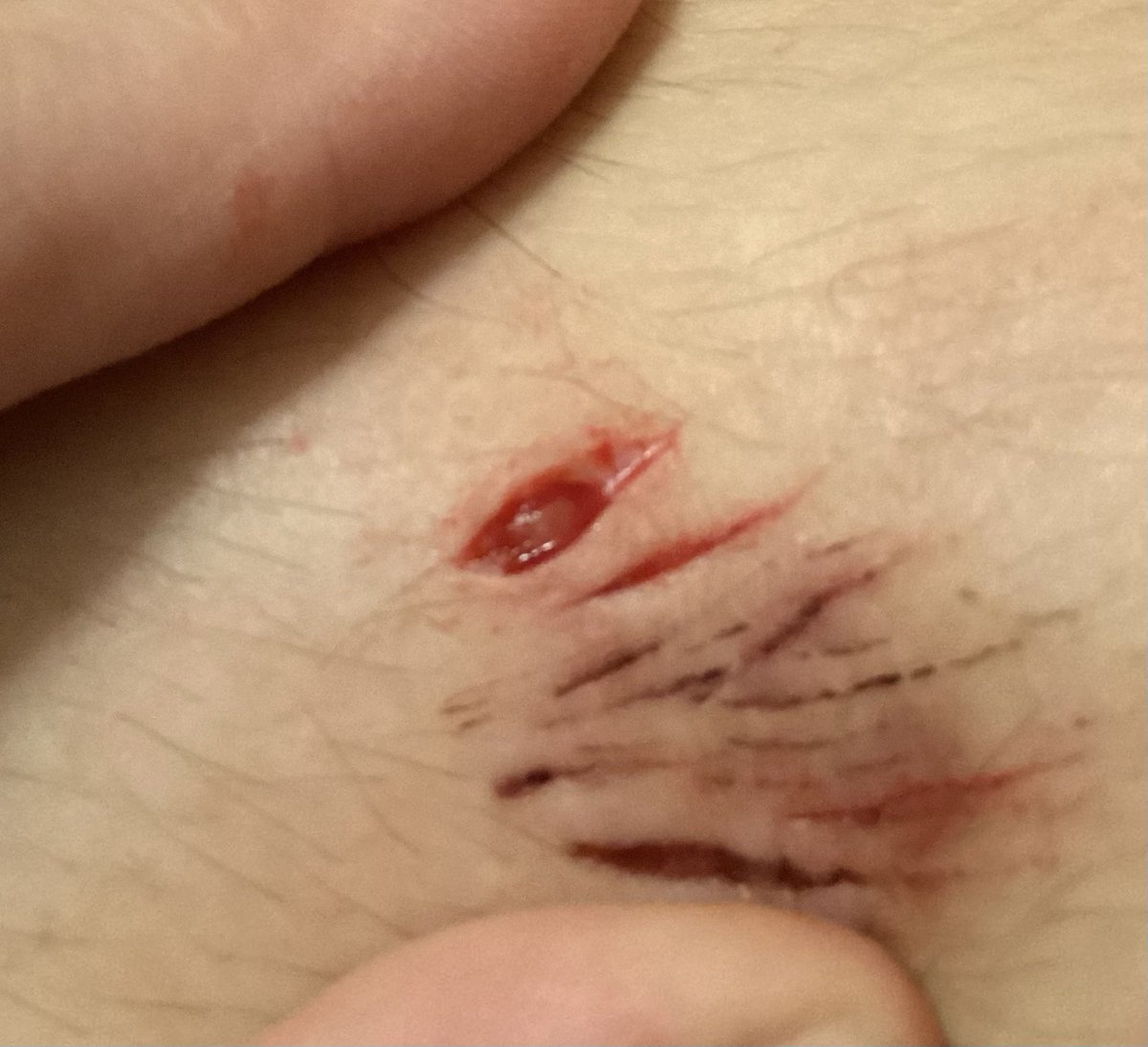 four ,,shedtwt tweet media