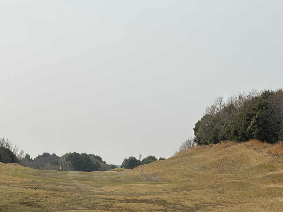 fu_kanaya's tweet photo. 久しぶりの⛳️ https://t.co/t3O6wEQX52