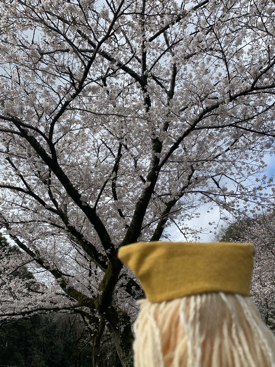 明日はいよいよおはなし会❗️会場は劇団民藝稽古場。11:00〜の部と、14:00〜の部があります。各回定員35名。
お申し込みは、メールmingei.ohanashi@gmail.com
お電話044-987-7711
XやInstagramのDMでも承ります❗️
#劇団民藝#おはなしかい#よみきかせ