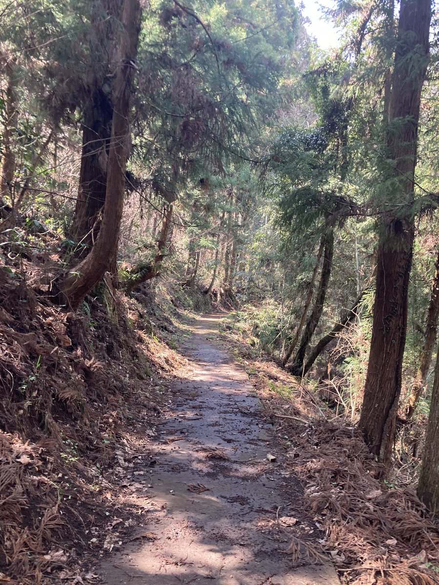 【❀日本のエルフ❀】がぉ～わらわだぞぉ～❀ホロロン姫 tweet media