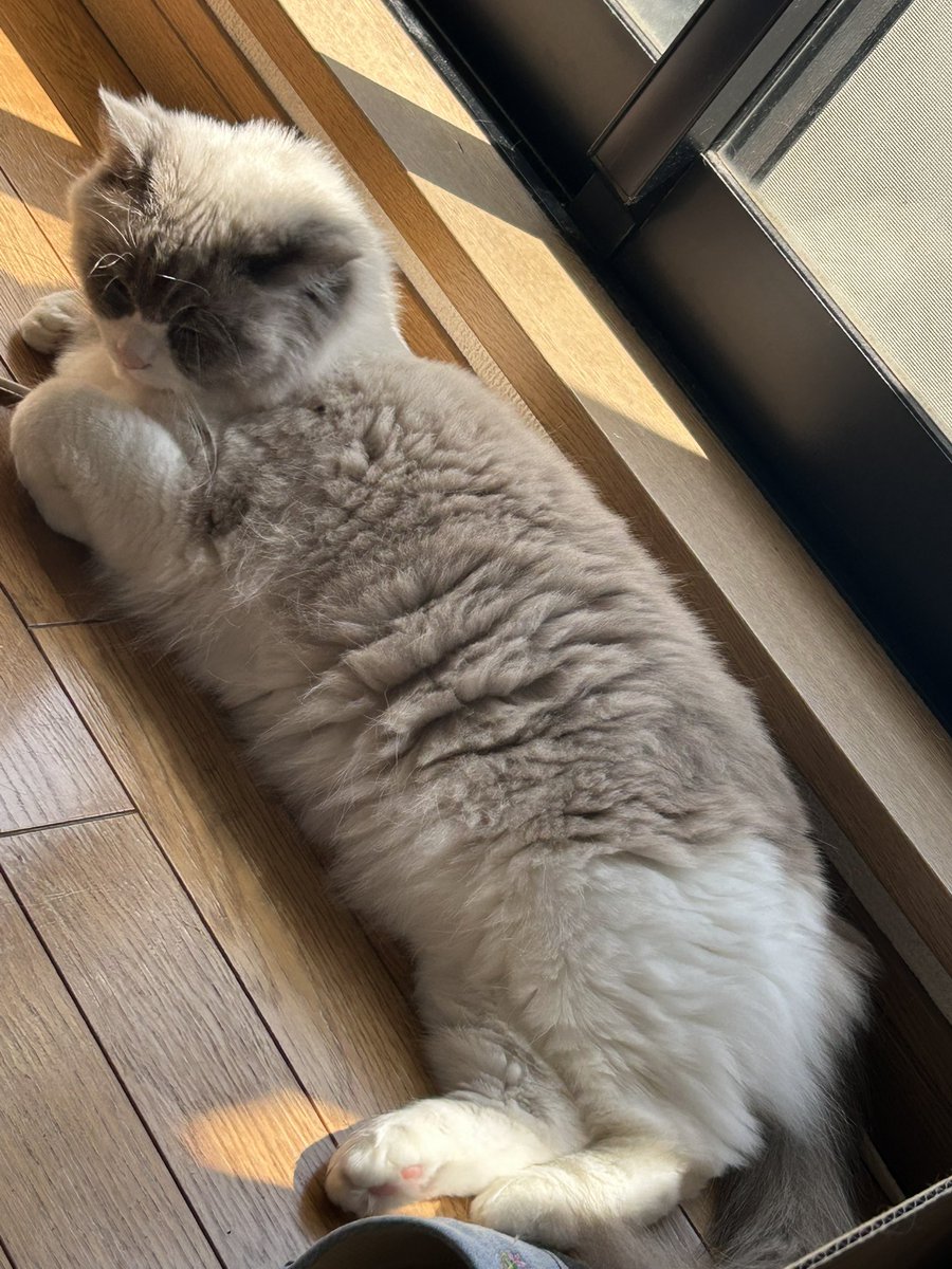 𝘕 𖠌꙳ tweet media