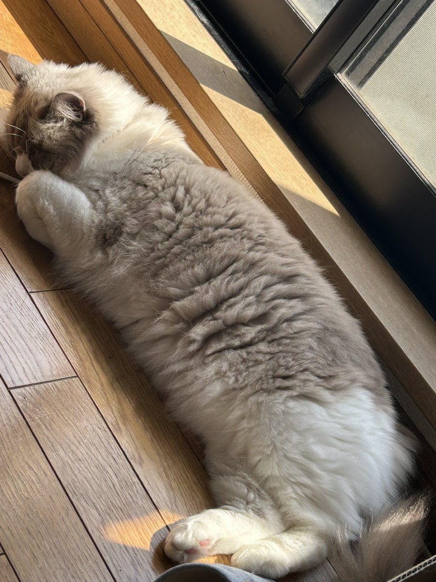 𝘕 𖠌꙳ tweet media