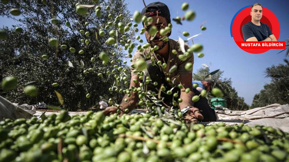 BirGün Gazetesi tweet media