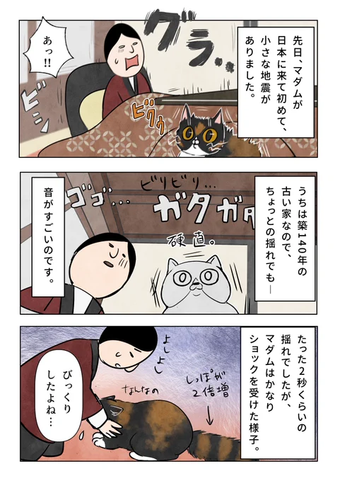 この間久しぶりに少し揺れて、マダムと一緒にひやっとしました…  1/2 #猫のいる暮らし 