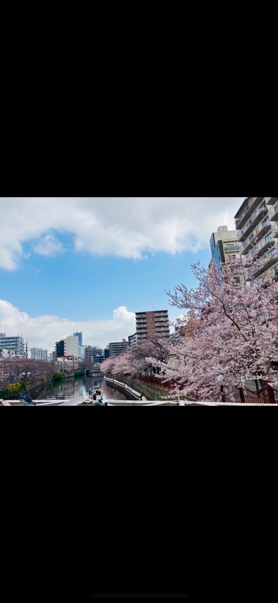 麺や太華　横浜橋 tweet media