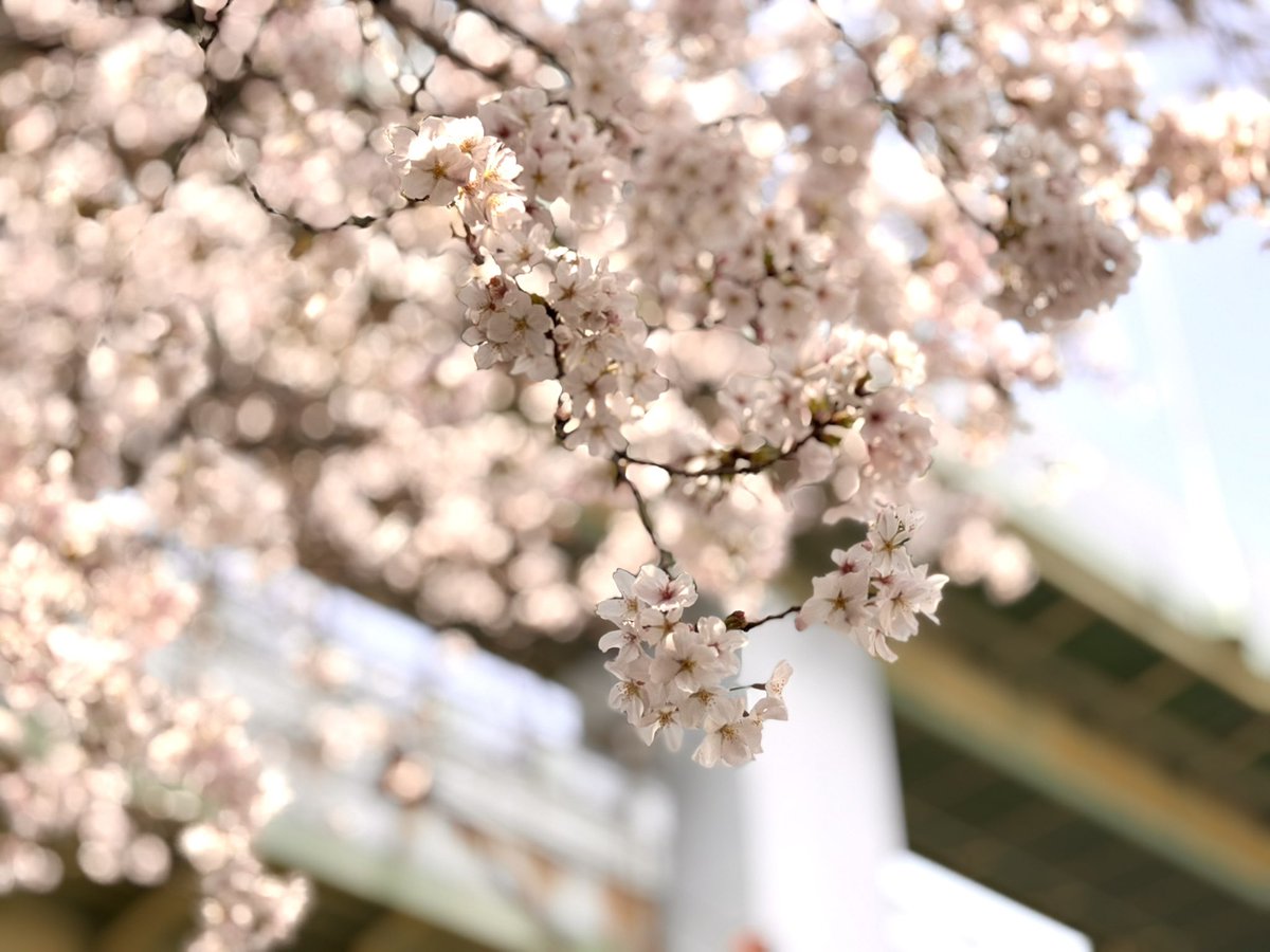 でぃさぶ tweet media