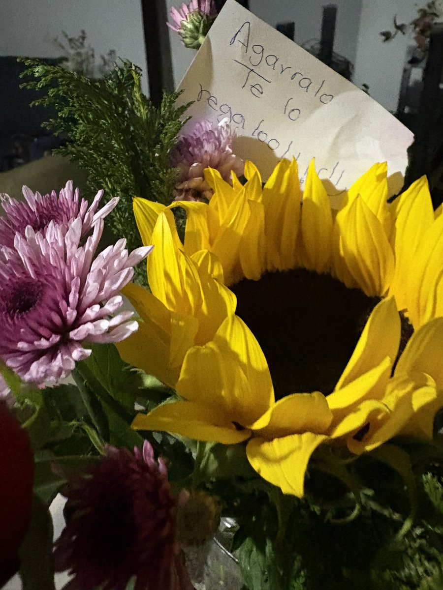 Amada Castañon Leal tweet media