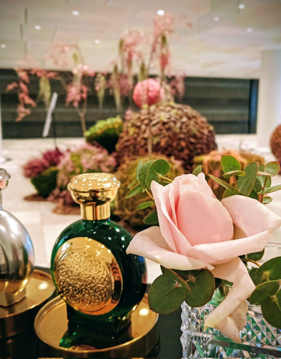 Boadicea the Victorious｜ブーディカ ザ ヴィクトリアス tweet media