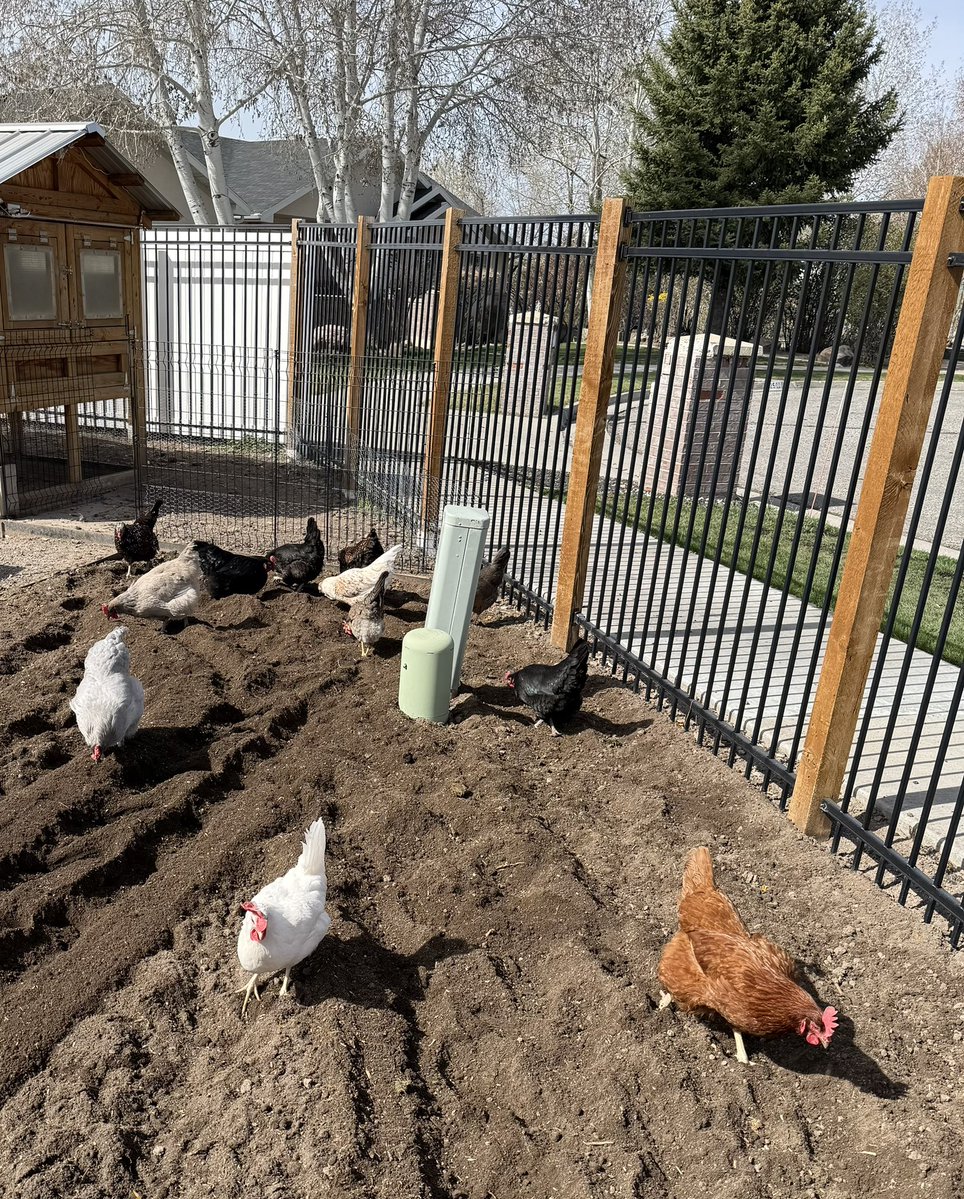 Grandpa⁵ 🇺🇸 tweet media