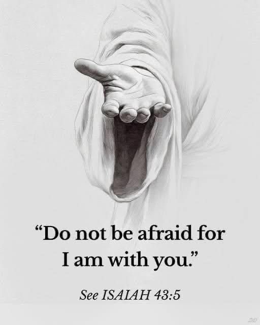 Aesthetic.Guyy tweet media