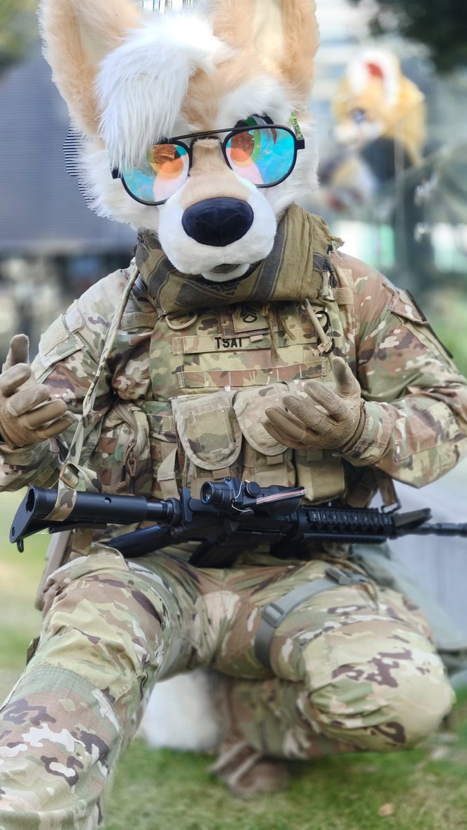 AbroadBuffalo55 tweet media