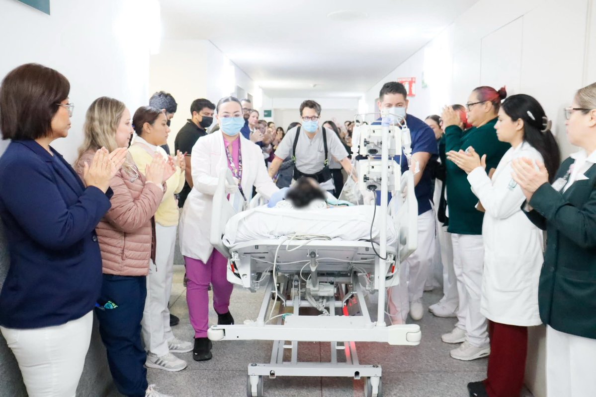 El Mitotero tweet media