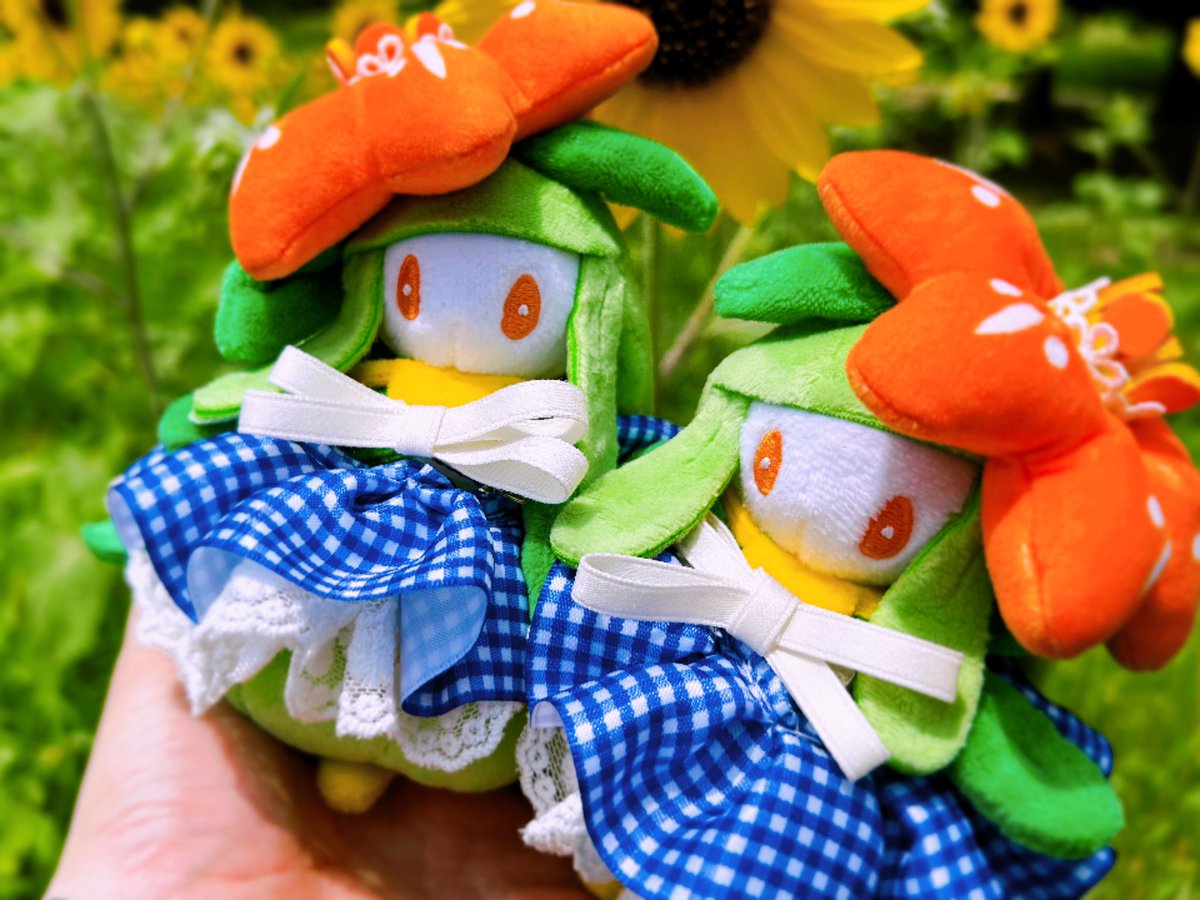 みひめかおり tweet media