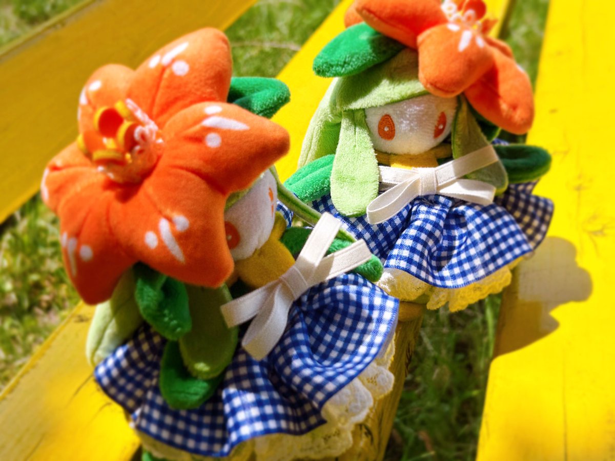 みひめかおり tweet media