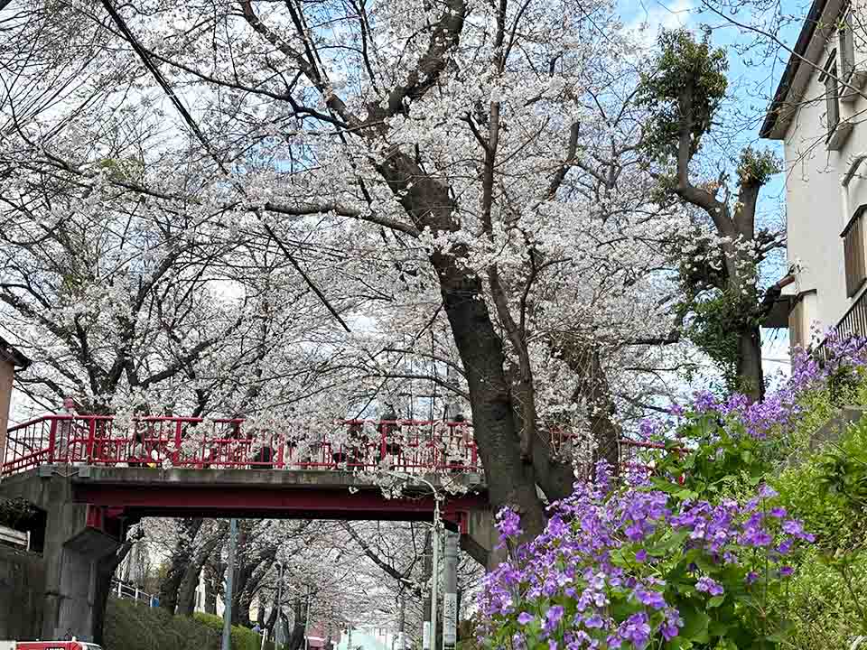 おーたふる／大田区商店街連合会 tweet media