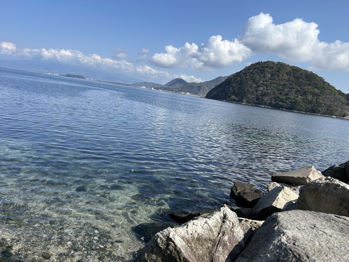 はまお tweet media