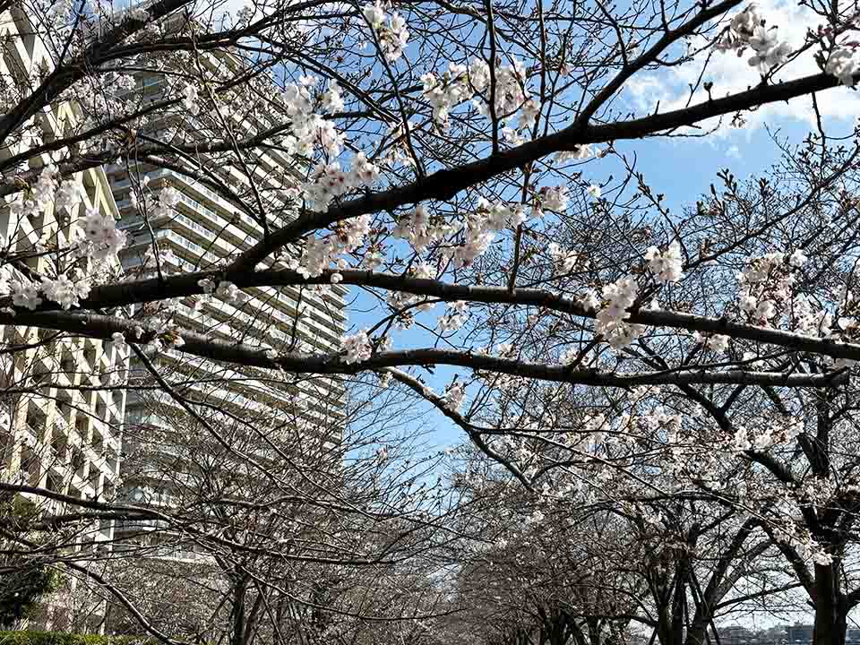 おーたふる／大田区商店街連合会 tweet media