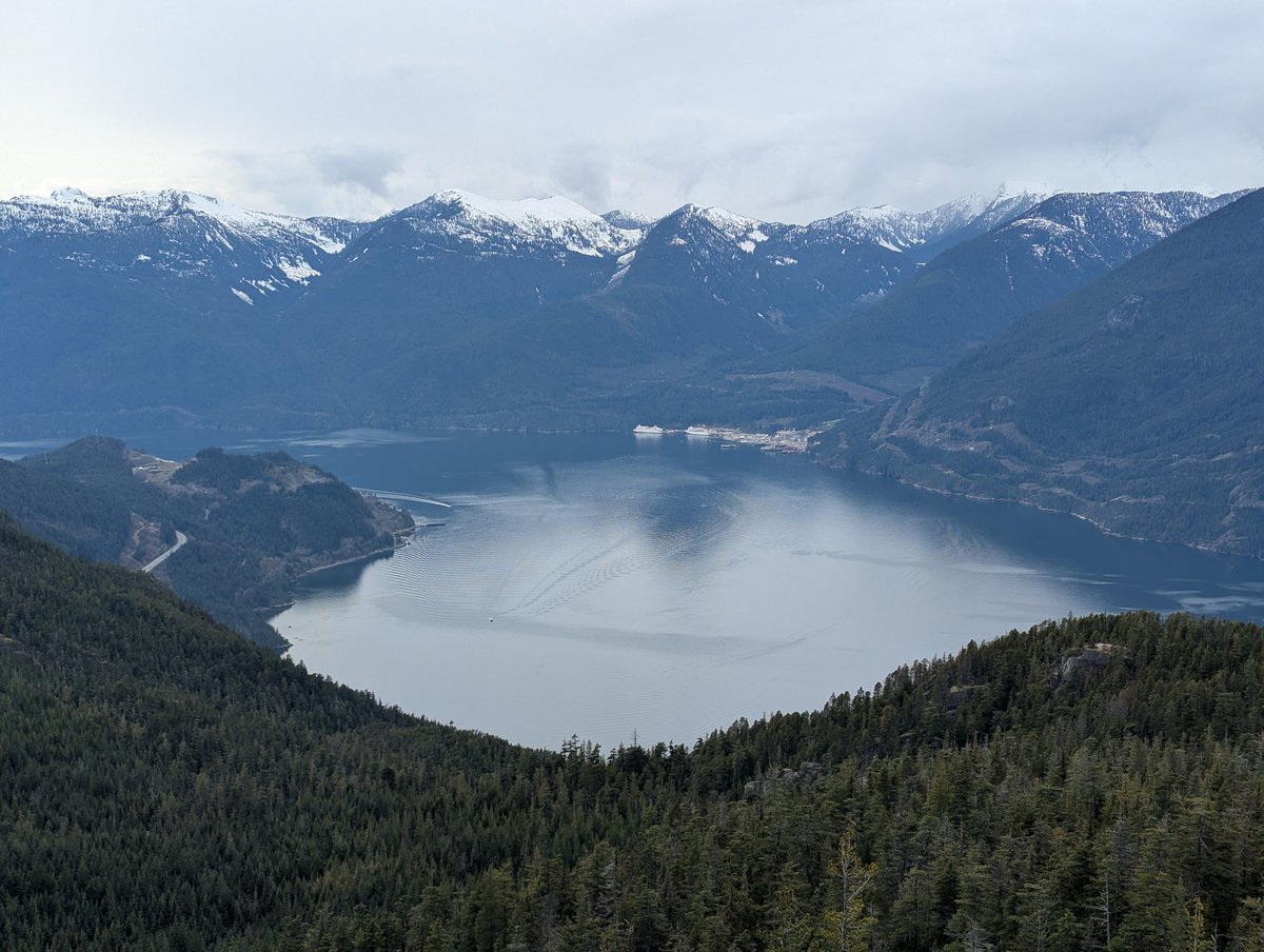 Торговец Кислородом в Сверхвысоком Вакууме 🇨🇦 tweet media