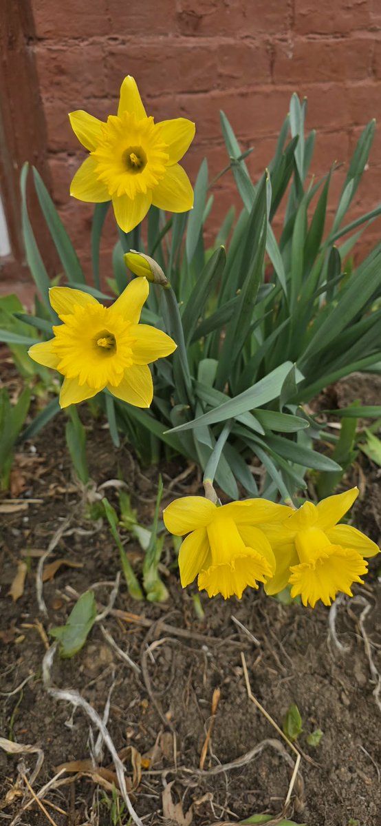 🌴Kenny Dee🌴 tweet media