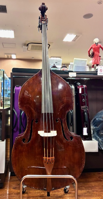 itogengakki's tweet photo. 【オールドの1/2サイズのコントラバスを展示中！】

1800年代後半にチェコで製作されたと思われる個体です。
フラットバックのためレスポンスが良く、小振りながらも深みのある音が魅力の楽器でソロや室内楽にオススメです🎵

ぜひこの機会にお試しください！
#コントラバス #伊藤楽器 #弦楽器 https://t.co/ESHCSCGbBG