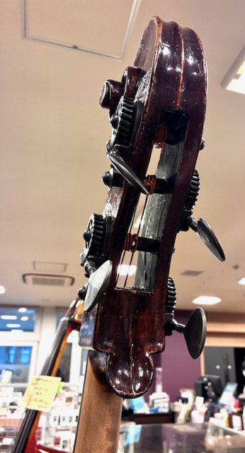 itogengakki's tweet photo. 【オールドの1/2サイズのコントラバスを展示中！】

1800年代後半にチェコで製作されたと思われる個体です。
フラットバックのためレスポンスが良く、小振りながらも深みのある音が魅力の楽器でソロや室内楽にオススメです🎵

ぜひこの機会にお試しください！
#コントラバス #伊藤楽器 #弦楽器 https://t.co/ESHCSCGbBG
