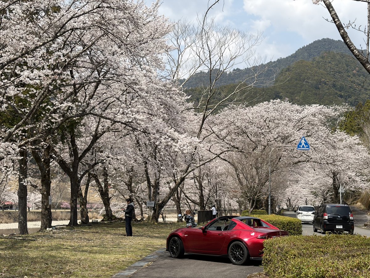 りくんげ tweet media