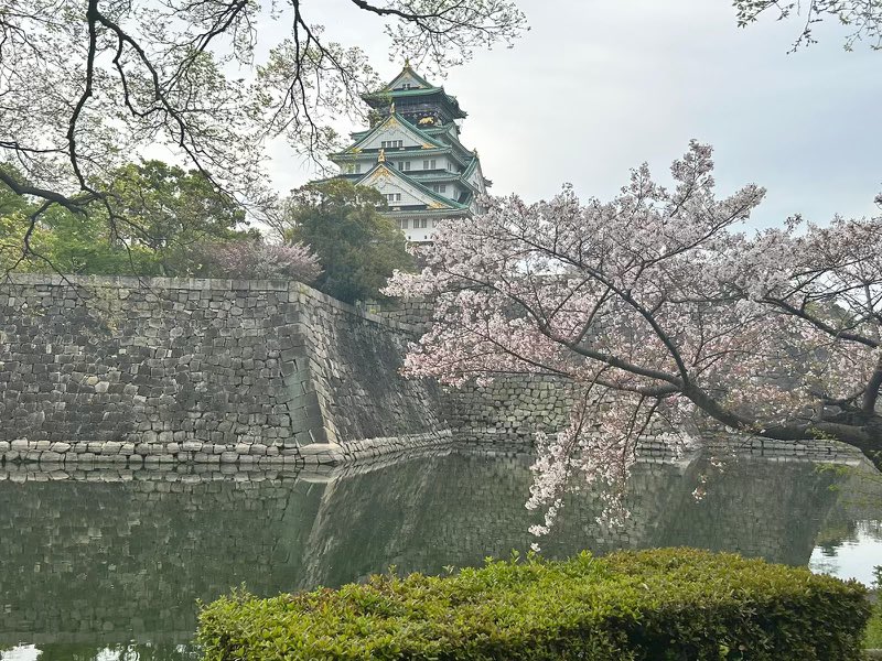 Zebrahead tweet media