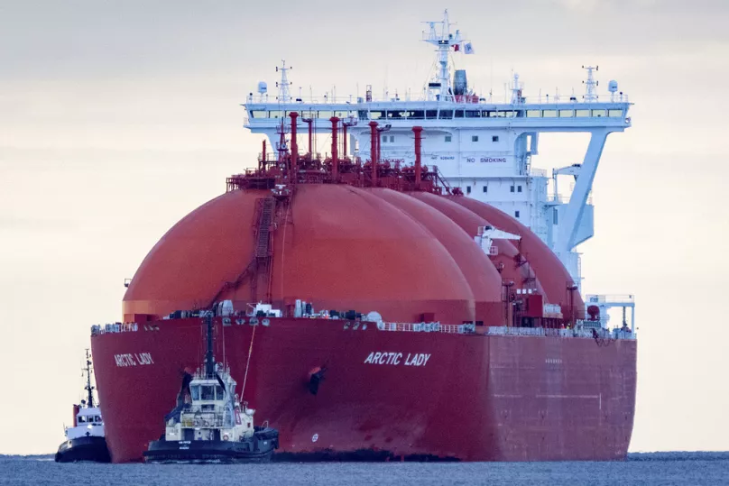 Little Think Tank tweet media