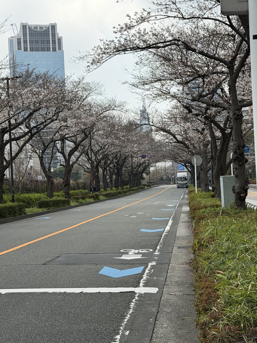 NFレディースシンガーズ tweet media