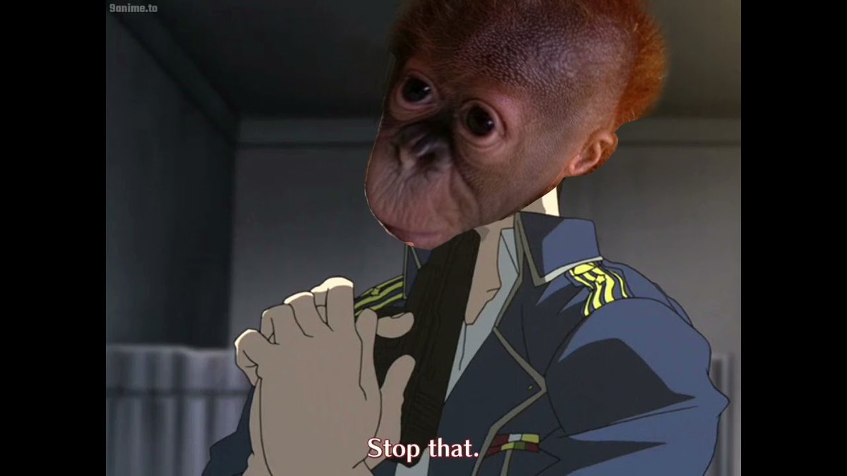 mo🍊🍊🍊 🍊🍊🍊🥑🐹 tweet media