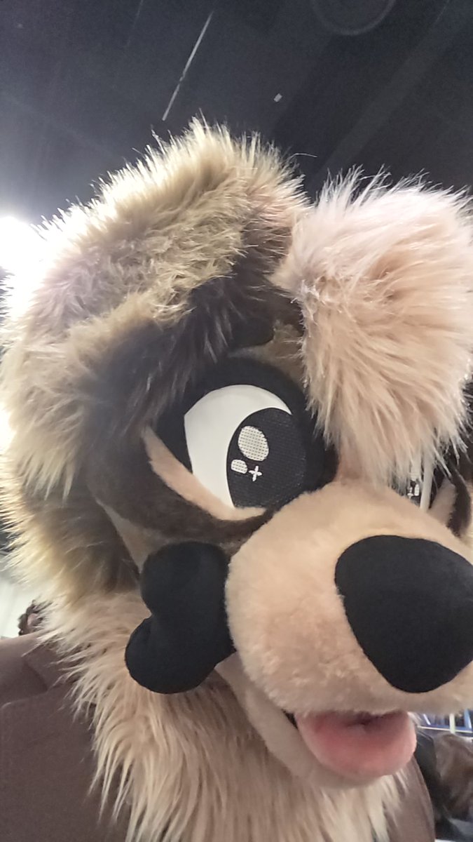 MaxumThePup's tweet photo. Had an amazing time at day 1 of #collectivecon it was so much fun!!! https://t.co/Ryntar5f9w