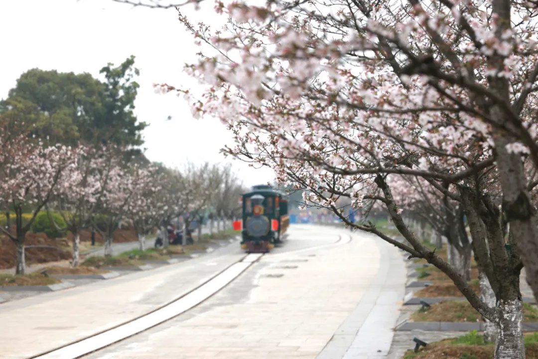 小明同学 tweet media