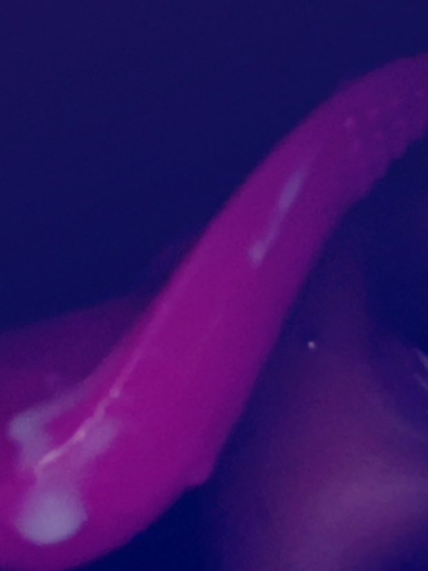 badbih2007's tweet photo. 💦💦 https://t.co/7lKgXL4Y3z