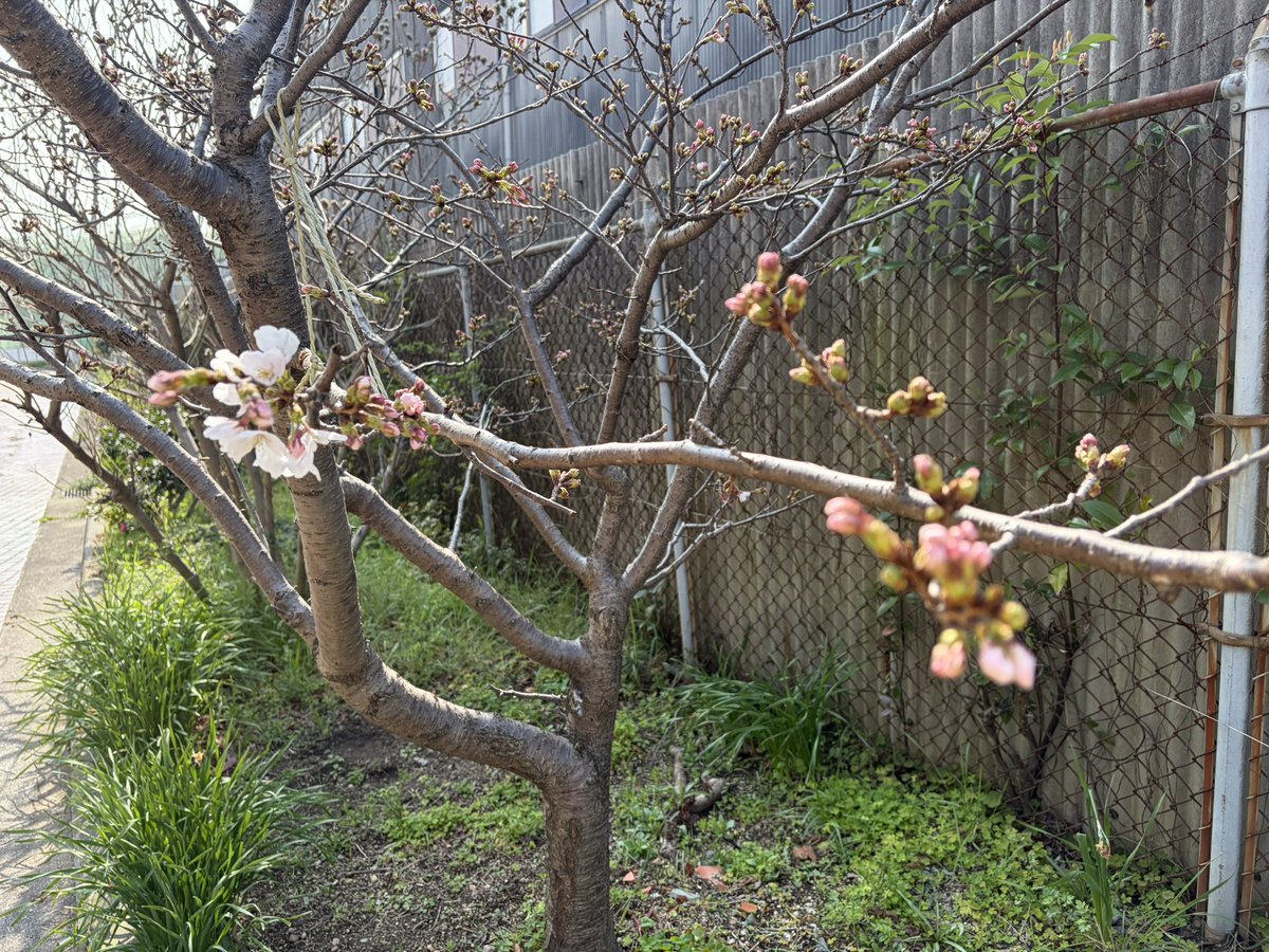 たけまん tweet media