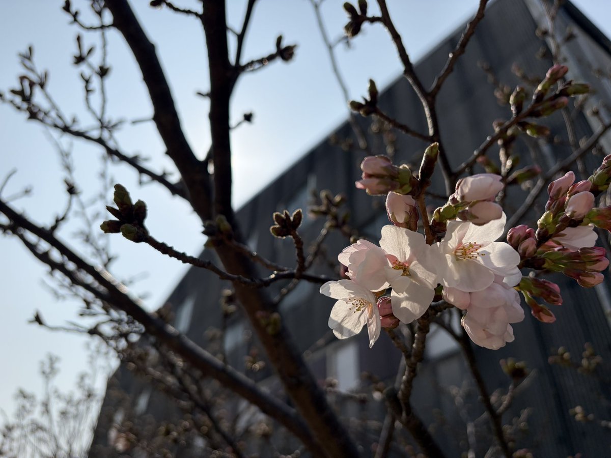 たけまん tweet media