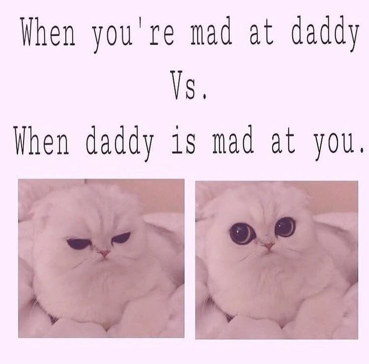 ᨳ ໒꒰ྀི ◞ ˕ ҂ 𐦯১ ໒꒱ིྀ༝⁺ tweet media