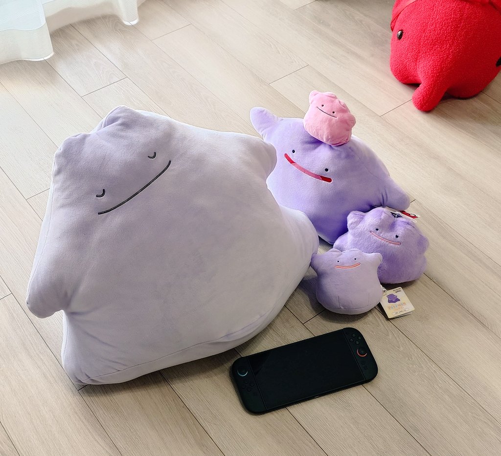 はぁ〜ん、かわいい…🫣🫣🫣
サイズ比較に2置いた🤗