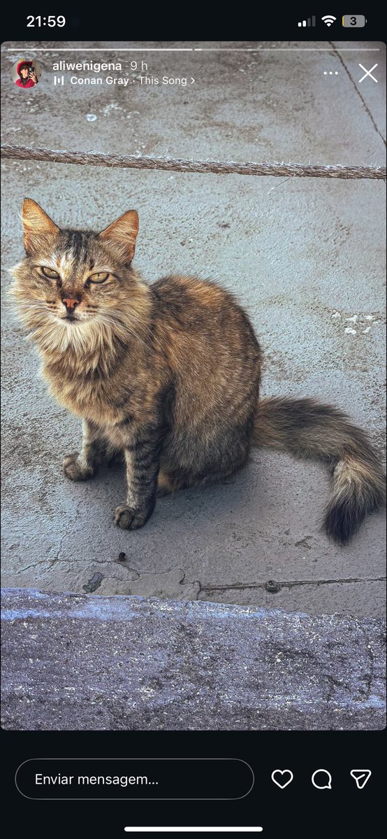 Acervo Ali tweet media