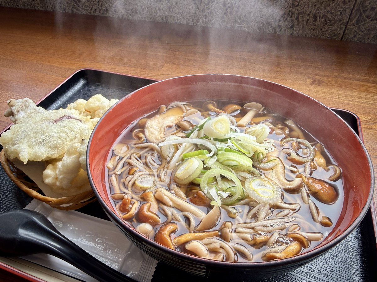 おはようございます😗🍄