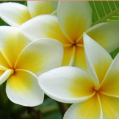 betei5's tweet photo. #新しいプロフィール画像 https://t.co/TVFuzDlFeo