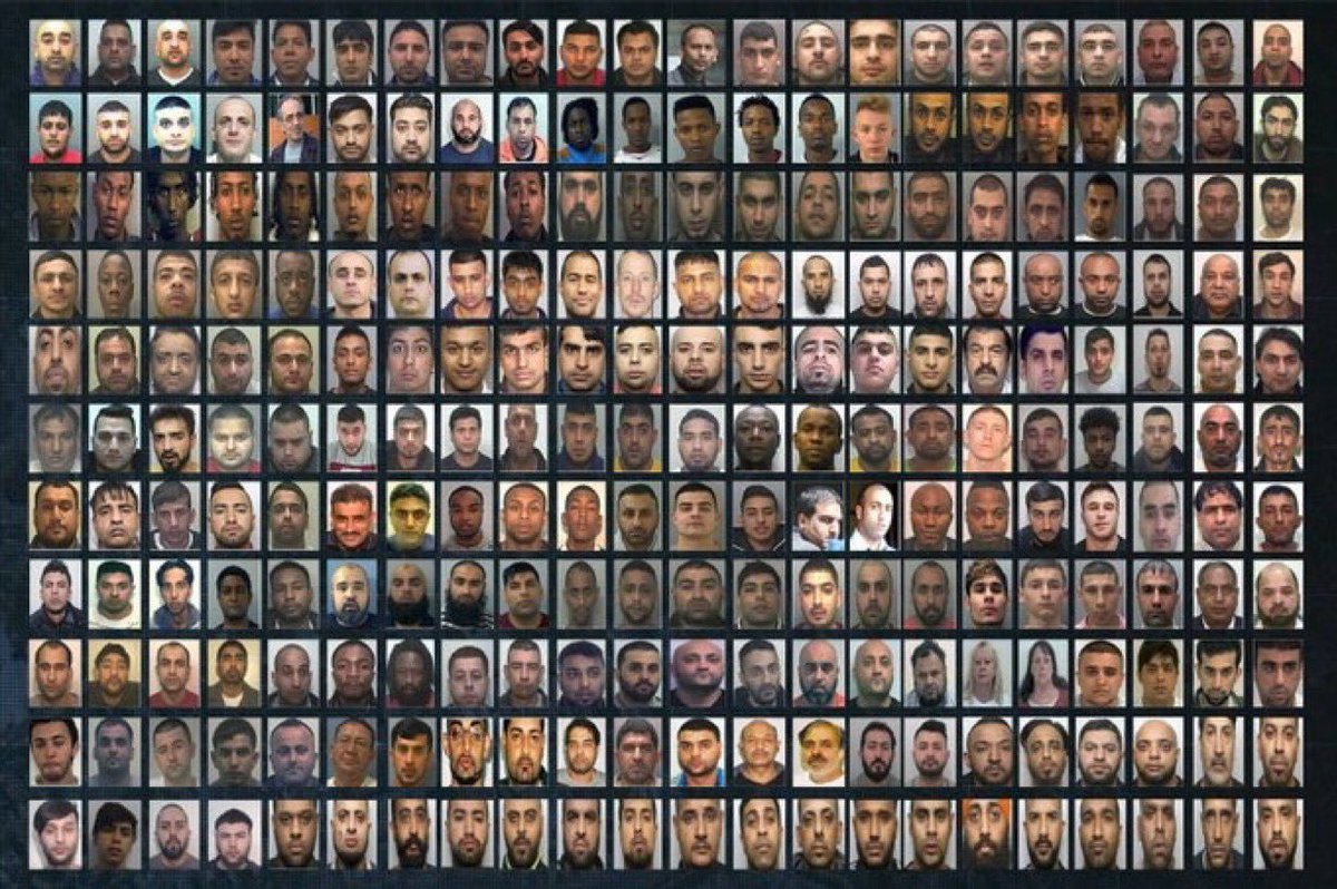 Purrrr Catipa tweet media