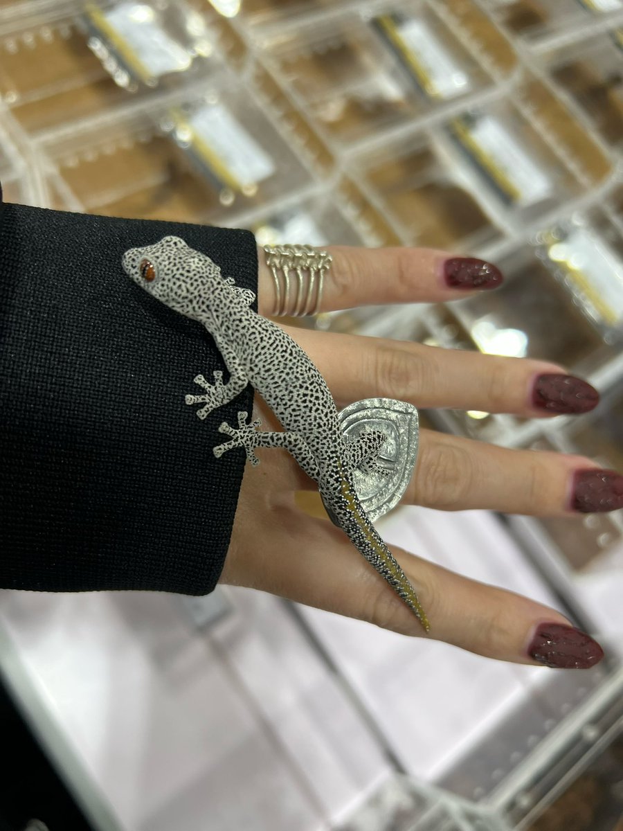 メガネ🦋/Satisfactory tweet media