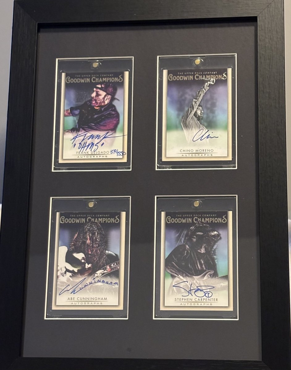 sarabeezy4sheezy tweet media