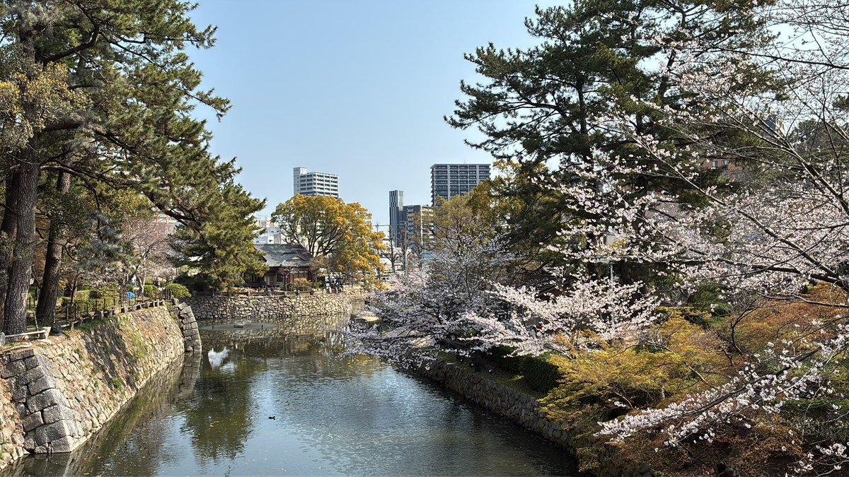 ごまみそずい tweet media